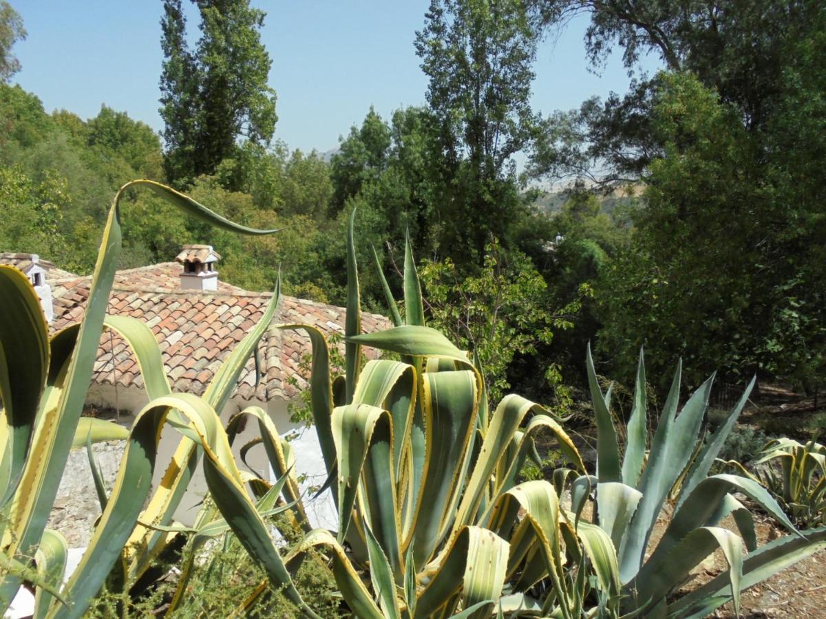 El Pastor Villa Grazalema Bagian luar foto