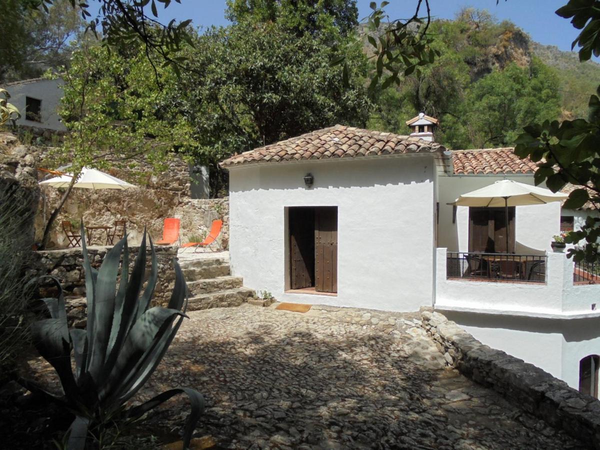 El Pastor Villa Grazalema Bagian luar foto