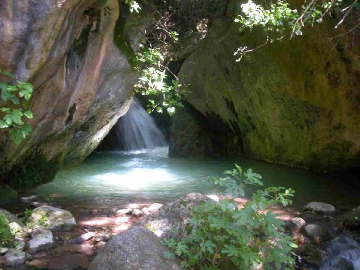 El Pastor Villa Grazalema Bagian luar foto