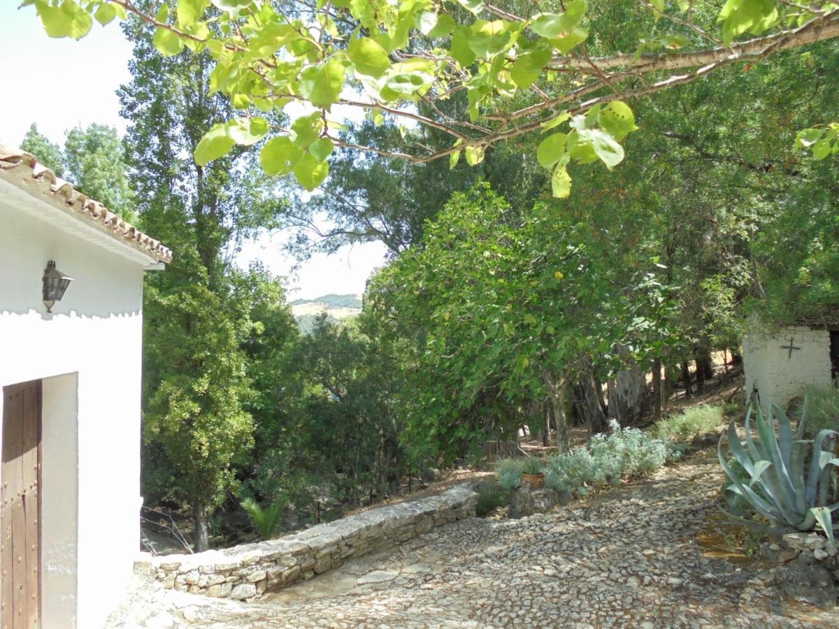 El Pastor Villa Grazalema Bagian luar foto
